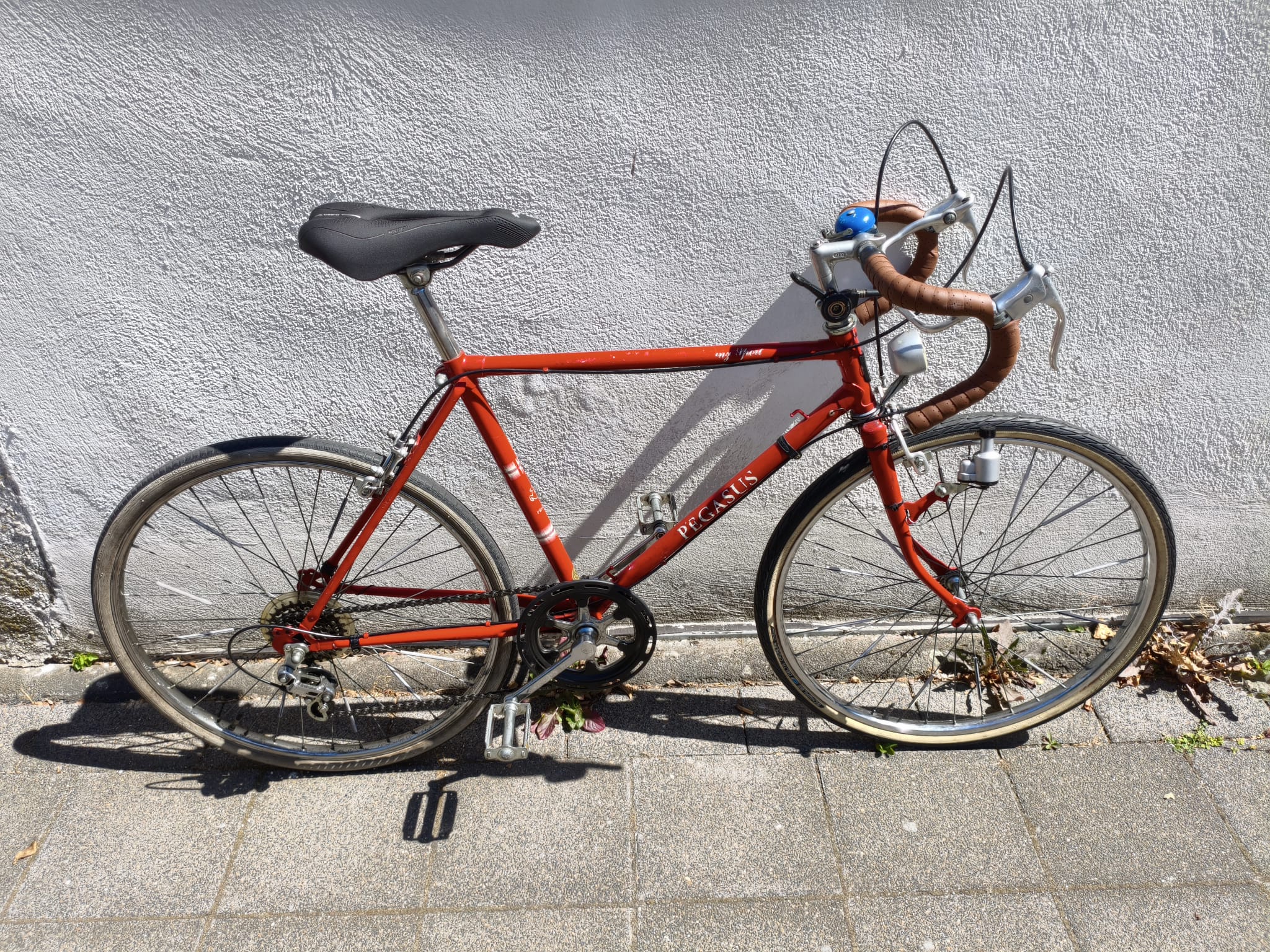 Pegasus RH 46, Positron 1x5