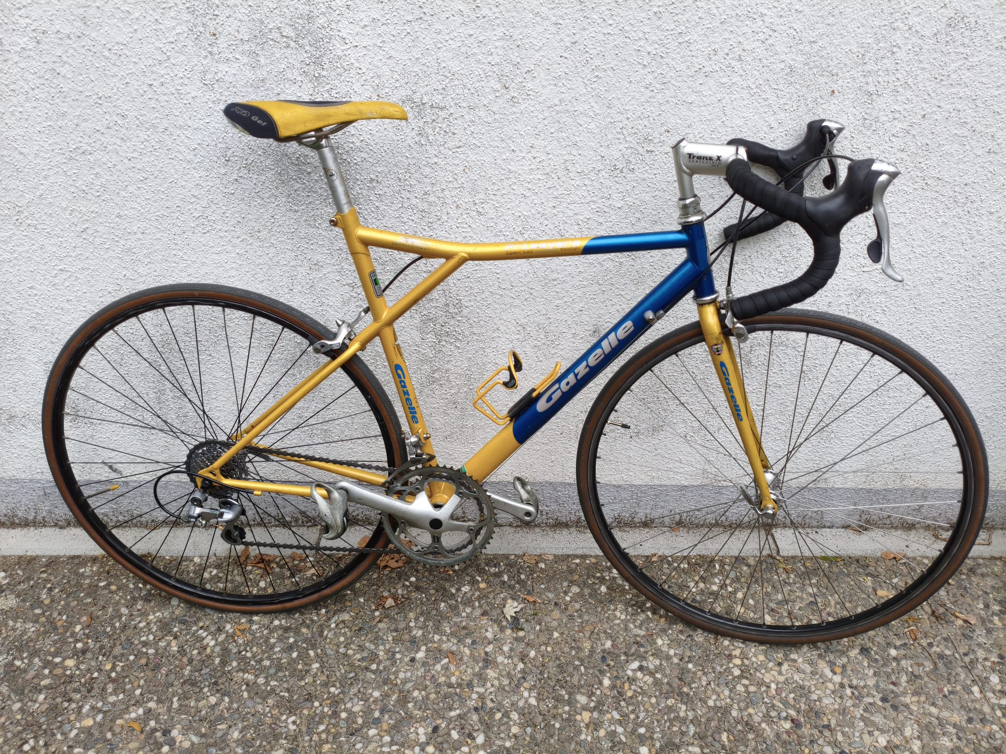 Gazelle Primavera - RH 55